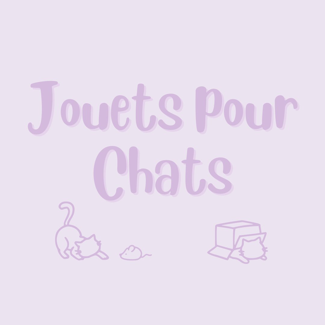 Jouets pour chats