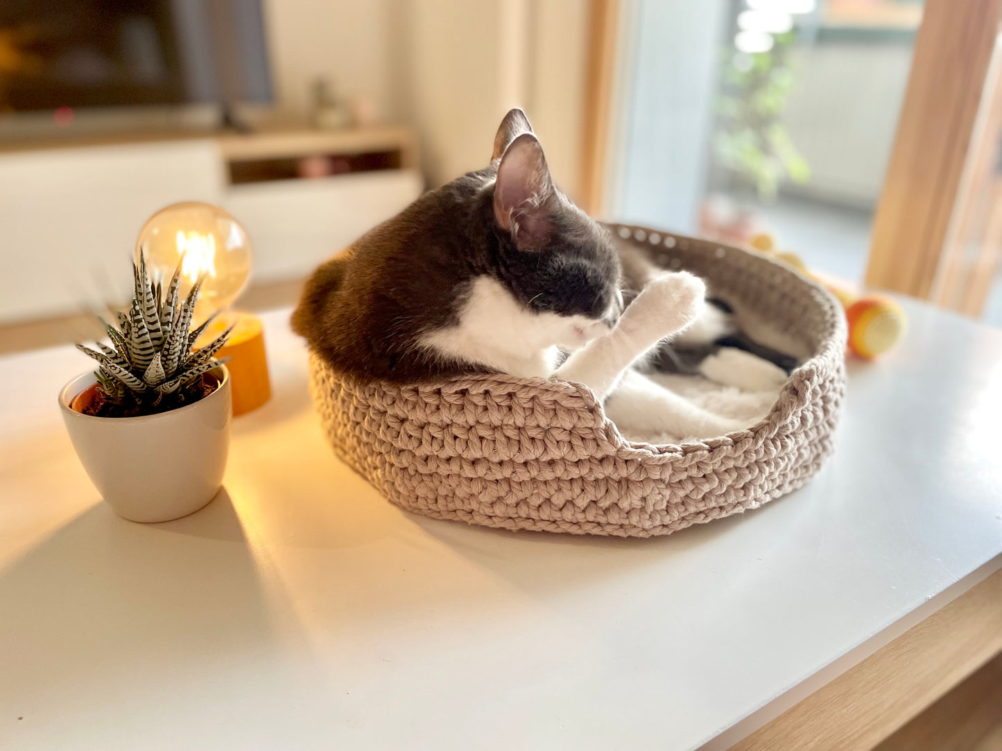 Panier pour chat en coton recyclé & coussin en fourrure Oeko-Tex 🐾
