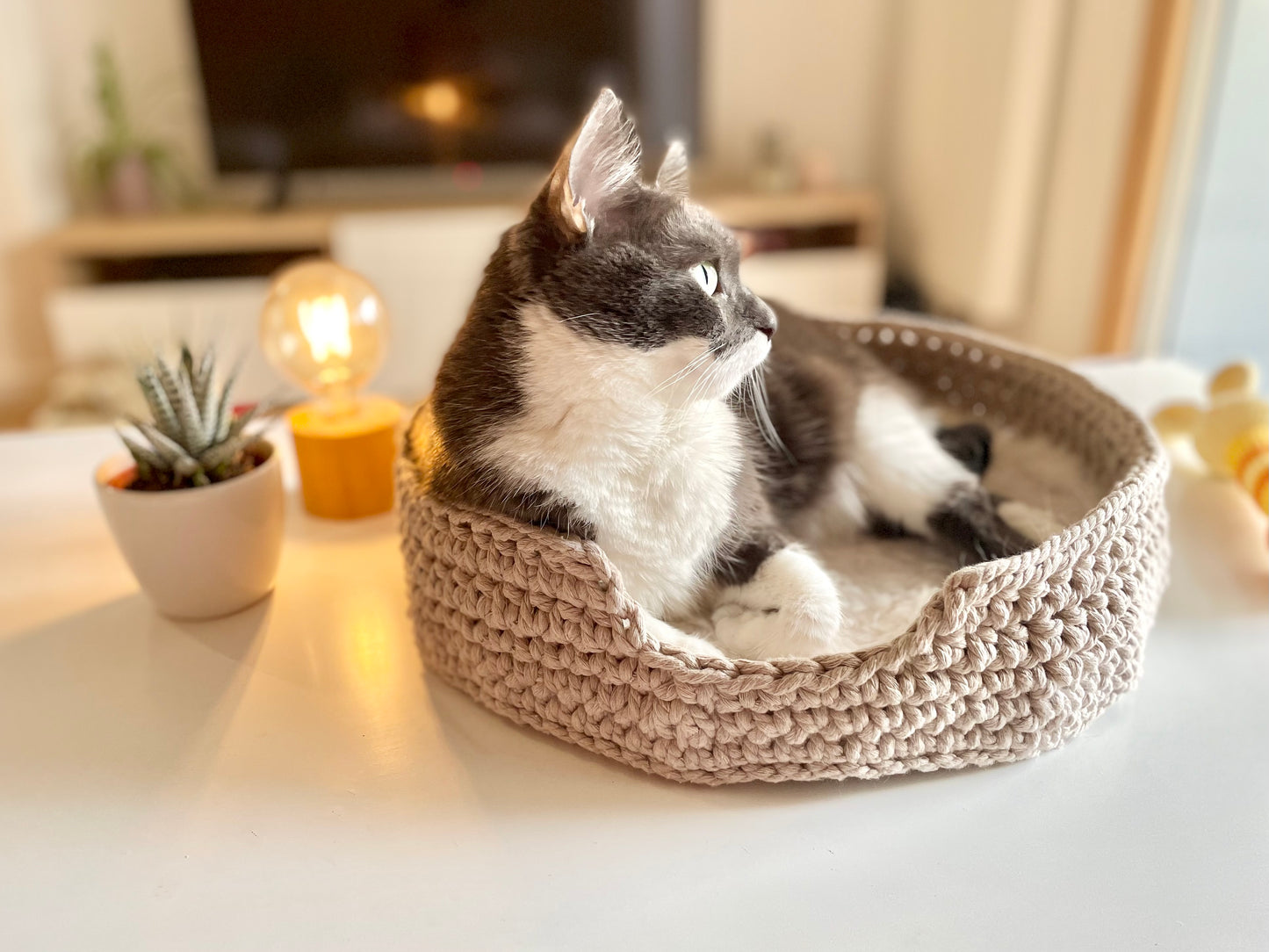 Panier pour chat en coton recyclé & coussin en fourrure Oeko-Tex 🐾