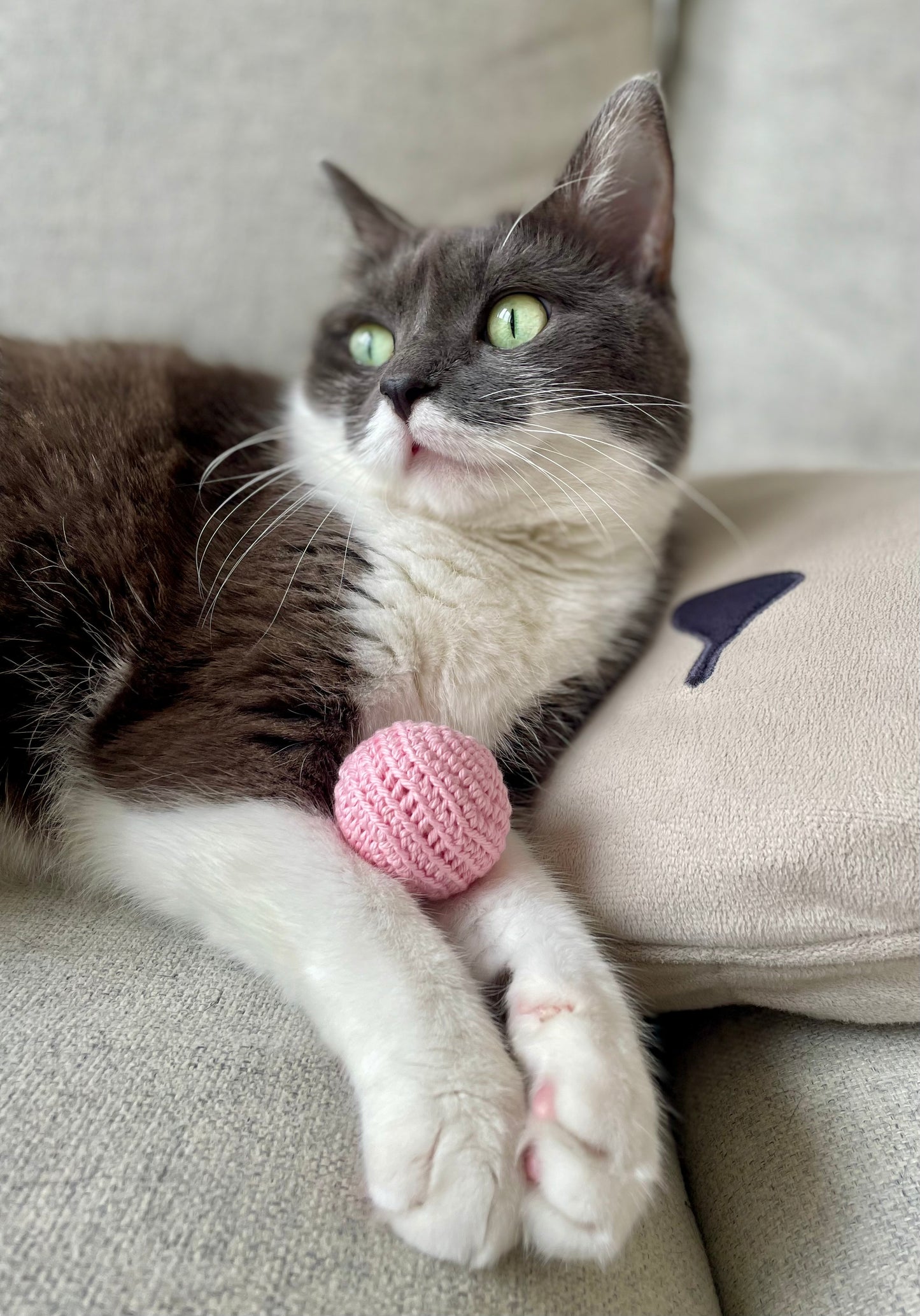 Cat ball with/without catnip